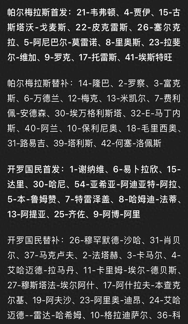 帕尔梅拉斯伤病名单更新，关键球员状态备受关注(帕尔梅拉斯赛程500)
