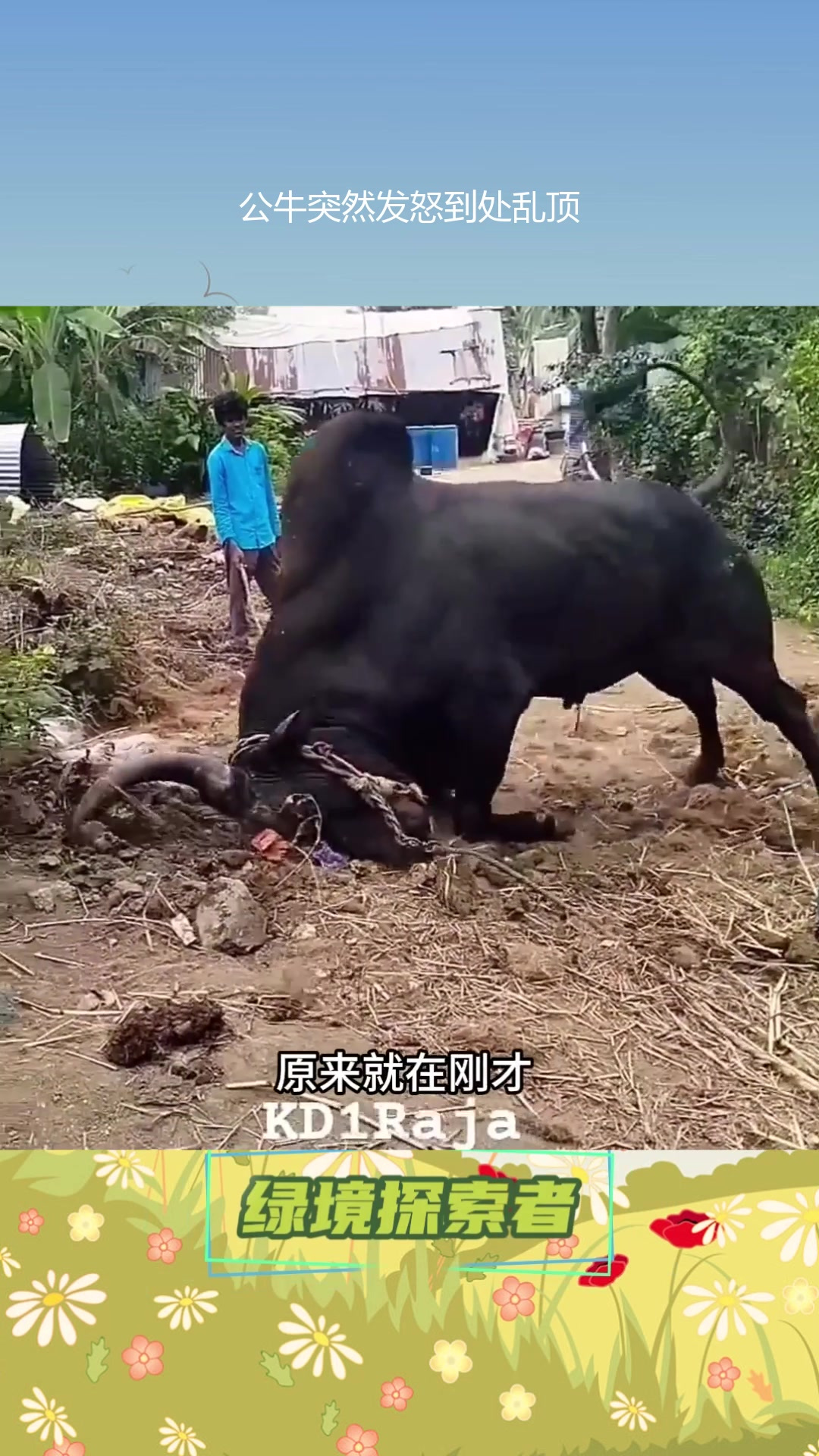 九游体育-公牛近况不佳，主场连败再辱名师(公牛现在的阵容)