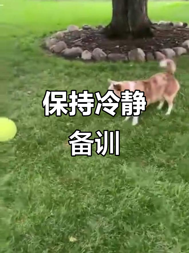 九游体育-瓦拉多利德教练施拉格心态稳定备战(巴拉多利德是哪个球队)